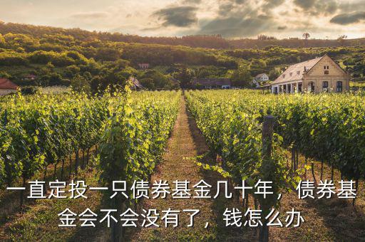 一直定投一只債券基金幾十年，債券基金會(huì)不會(huì)沒有了，錢怎么辦