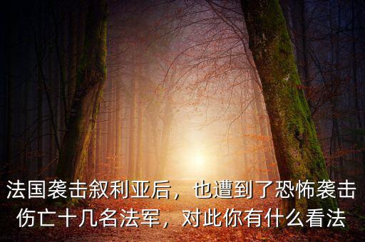 法國襲擊敘利亞后，也遭到了恐怖襲擊傷亡十幾名法軍，對此你有什么看法