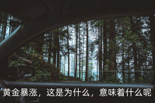 黃金暴漲，這是為什么，意味著什么呢