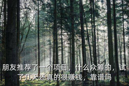 朋友推薦了一個(gè)項(xiàng)目，什么眾籌的，試了幾天還真的很賺錢(qián)，靠譜嗎