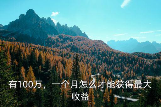 有100萬，一個(gè)月怎么才能獲得最大收益