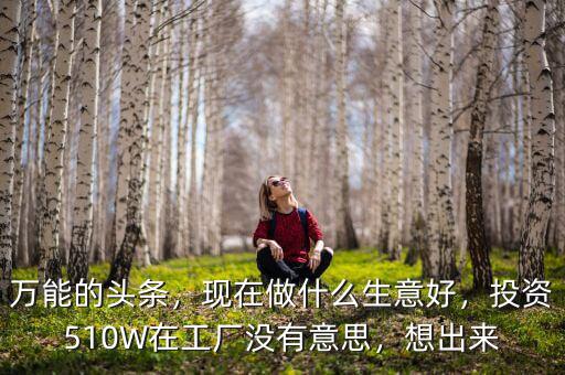 萬能的頭條，現(xiàn)在做什么生意好，投資510W在工廠沒有意思，想出來