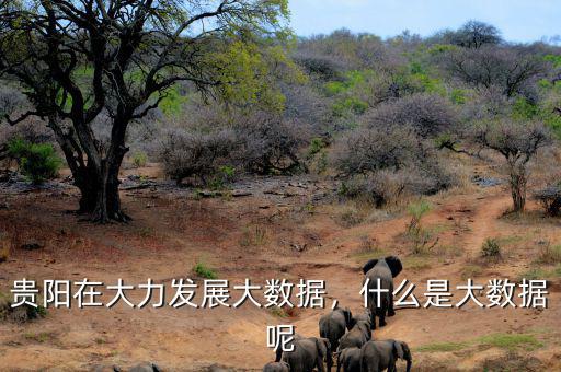 貴陽在大力發(fā)展大數(shù)據(jù)，什么是大數(shù)據(jù)呢