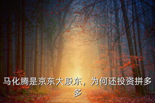 馬化騰是京東大股東，為何還投資拼多多