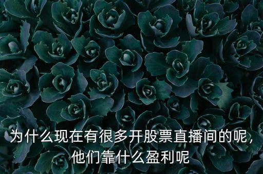 為什么現(xiàn)在有很多開股票直播間的呢，他們靠什么盈利呢