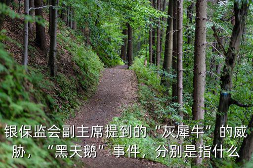 銀保監(jiān)會(huì)副主席提到的“灰犀?！钡耐{，“黑天鵝”事件，分別是指什么