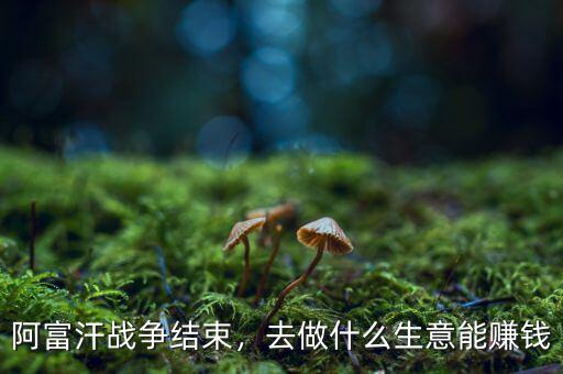 阿富汗戰(zhàn)爭(zhēng)結(jié)束，去做什么生意能賺錢