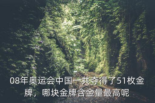 08年奧運會中國一共奪得了51枚金牌，哪塊金牌含金量最高呢