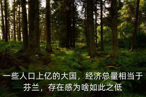 一些人口上億的大國，經(jīng)濟總量相當(dāng)于芬蘭，存在感為啥如此之低