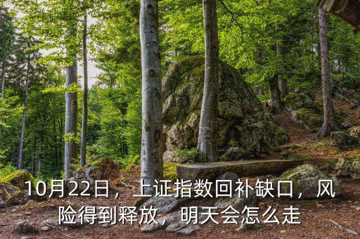 10月22日，上證指數(shù)回補缺口，風險得到釋放，明天會怎么走