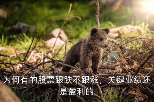 為何有的股票跟跌不跟漲，關(guān)鍵業(yè)績(jī)還是盈利的