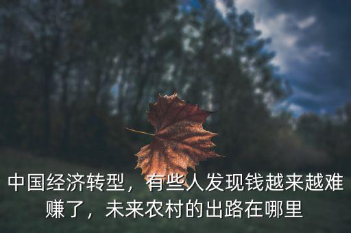 中國經(jīng)濟(jì)轉(zhuǎn)型，有些人發(fā)現(xiàn)錢越來越難賺了，未來農(nóng)村的出路在哪里