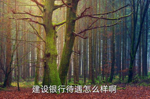 建行通訊員怎么樣,建設銀行待遇怎么樣啊