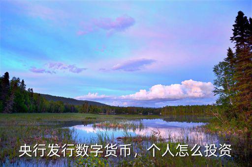 央行發(fā)行數(shù)字貨幣，個人怎么投資