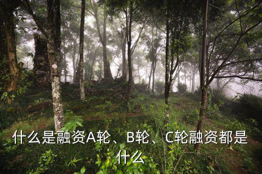 什么是融資A輪、B輪、C輪融資都是什么