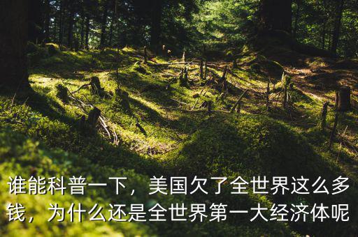 誰(shuí)能科普一下，美國(guó)欠了全世界這么多錢，為什么還是全世界第一大經(jīng)濟(jì)體呢
