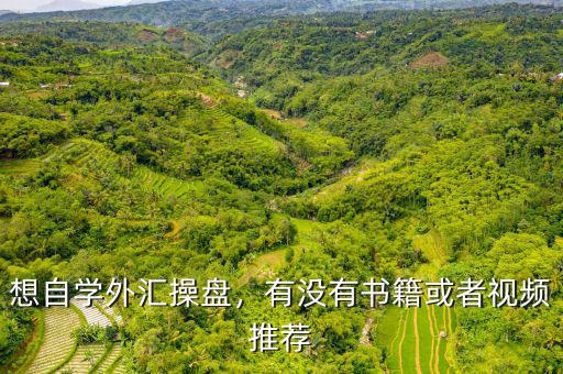 想自學(xué)外匯操盤，有沒有書籍或者視頻推薦