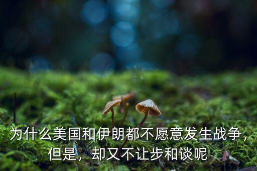 為什么美國和伊朗都不愿意發(fā)生戰(zhàn)爭，但是，卻又不讓步和談呢