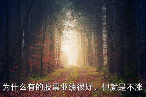 為什么有的股票業(yè)績很好，但就是不漲