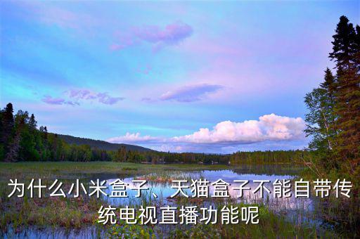 為什么小米盒子、天貓盒子不能自帶傳統(tǒng)電視直播功能呢