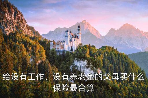 給沒有工作、沒有養(yǎng)老金的父母買什么保險(xiǎn)最合算