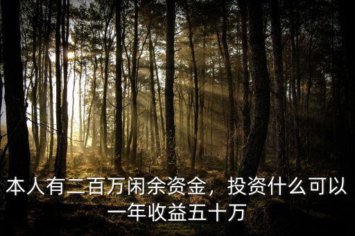 本人有二百萬閑余資金，投資什么可以一年收益五十萬