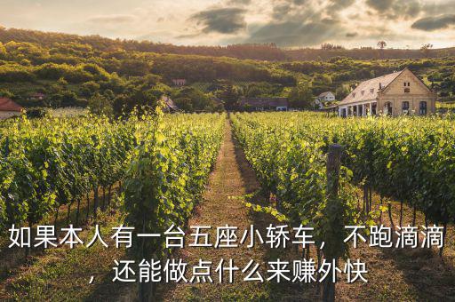 如果本人有一臺(tái)五座小轎車，不跑滴滴，還能做點(diǎn)什么來(lái)賺外快
