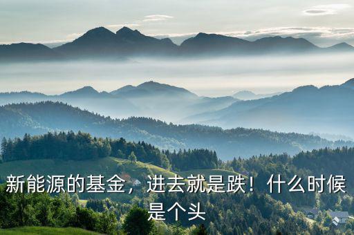 新能源的基金，進(jìn)去就是跌！什么時候是個頭
