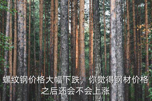 螺紋鋼價(jià)格大幅下跌，你覺(jué)得鋼材價(jià)格之后還會(huì)不會(huì)上漲