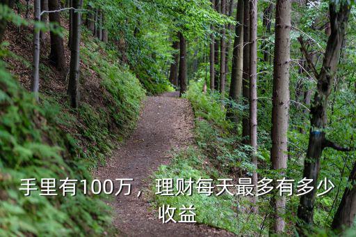 手里有100萬(wàn)，理財(cái)每天最多有多少收益
