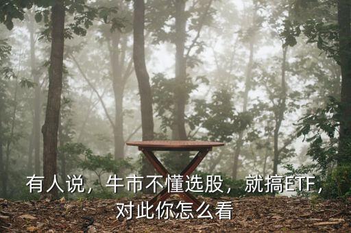 有人說(shuō)，牛市不懂選股，就搞ETF，對(duì)此你怎么看