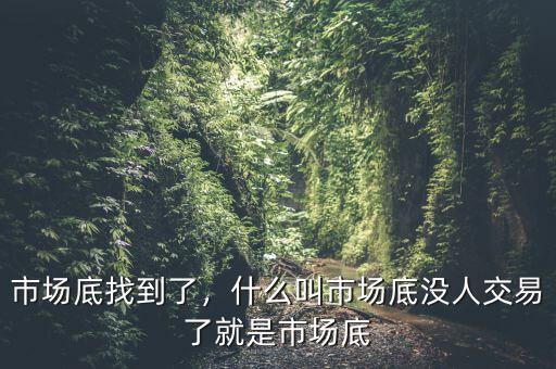 市場底找到了，什么叫市場底沒人交易了就是市場底