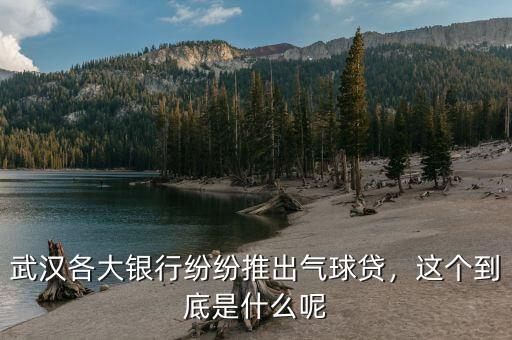 武漢各大銀行紛紛推出氣球貸，這個到底是什么呢