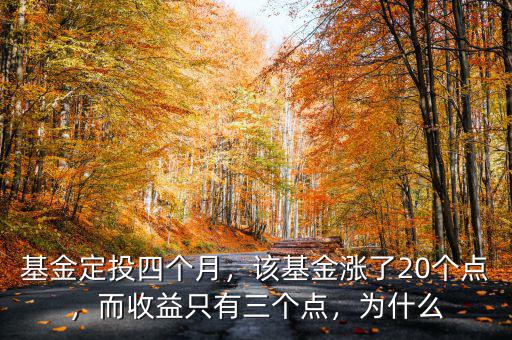 基金定投四個月，該基金漲了20個點(diǎn)，而收益只有三個點(diǎn)，為什么