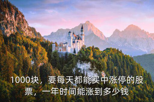 1000塊，要每天都能買中漲停的股票，一年時間能漲到多少錢