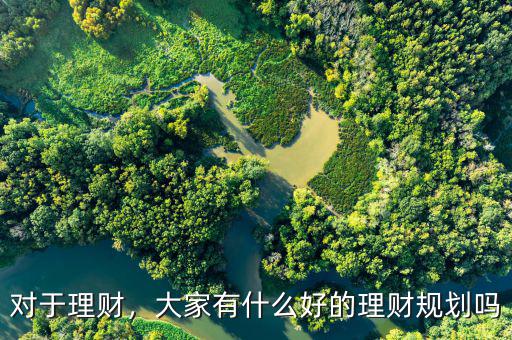對(duì)于理財(cái)，大家有什么好的理財(cái)規(guī)劃嗎