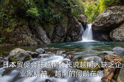 日本貿(mào)促會駐越南會長說越南人缺乏企業(yè)家精神，越南的問題在哪