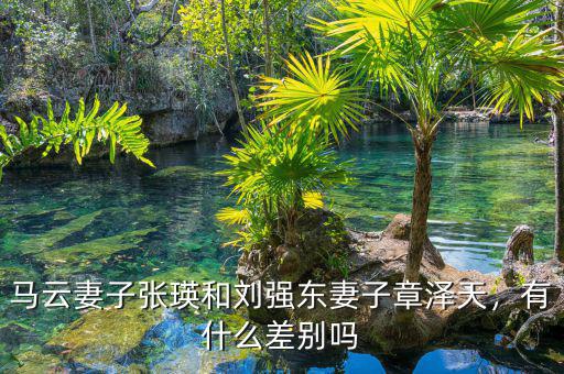 馬云妻子張瑛和劉強(qiáng)東妻子章澤天，有什么差別嗎
