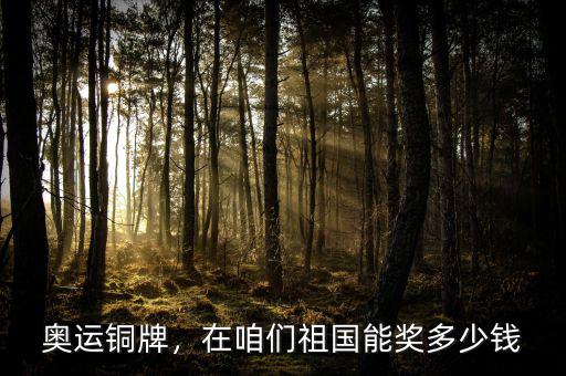 奧運銅牌，在咱們祖國能獎多少錢