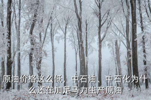 原油價(jià)格這么低，中石油、中石化為什么還在加足馬力生產(chǎn)原油