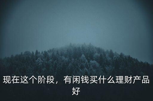 理財(cái)買(mǎi)什么產(chǎn)品好,都說(shuō)要用閑錢(qián)理財(cái)