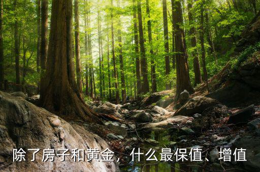 除了房子和黃金，什么最保值、增值