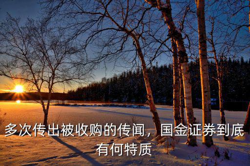多次傳出被收購的傳聞，國金證券到底有何特質(zhì)