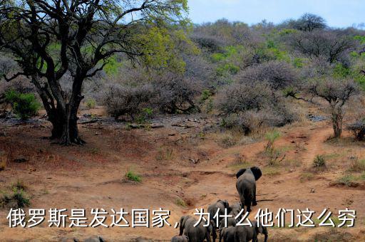 俄羅斯是發(fā)達國家，為什么他們這么窮