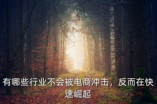 有哪些行業(yè)不會(huì)被電商沖擊，反而在快速崛起