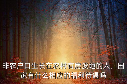 非農(nóng)戶口生長在農(nóng)村有房沒地的人，國家有什么相應(yīng)的福利待遇嗎