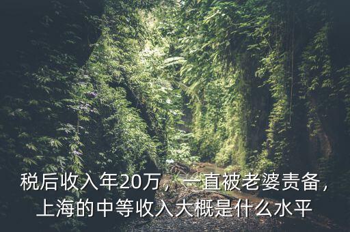 稅后收入年20萬，一直被老婆責(zé)備，上海的中等收入大概是什么水平