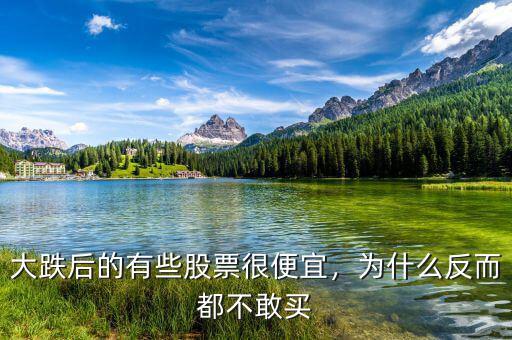 大跌后的有些股票很便宜，為什么反而都不敢買(mǎi)