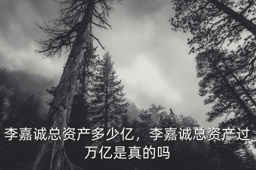 李嘉誠總資產(chǎn)多少億，李嘉誠總資產(chǎn)過萬億是真的嗎