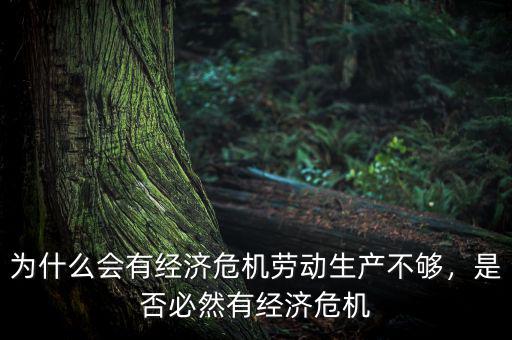 為什么會有經(jīng)濟危機勞動生產(chǎn)不夠，是否必然有經(jīng)濟危機